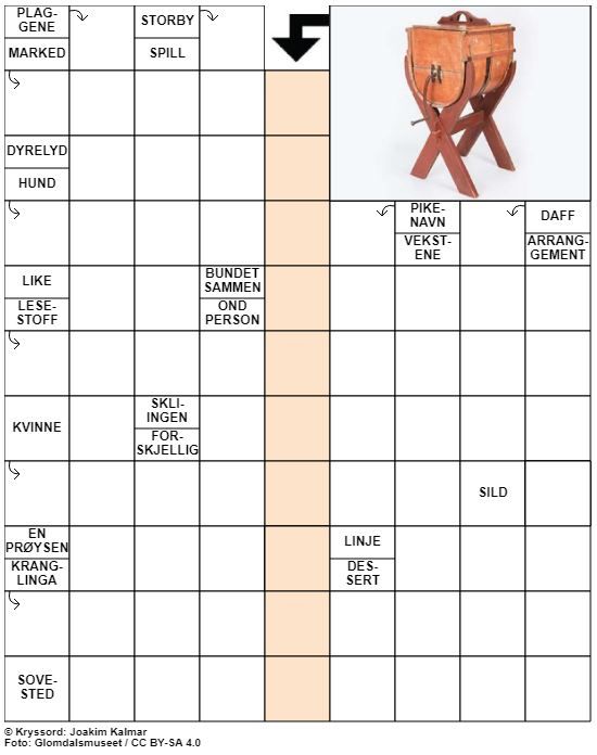 Dagens kryssord – 21. Januar - 2022