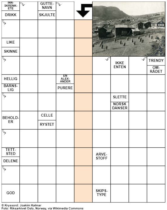Dagens kryssord – 22. Januar - 2022