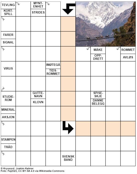 Dagens kryssord – 25. Januar - 2022