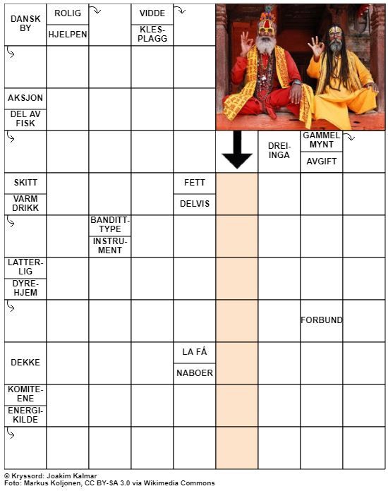 Dagens kryssord – 26. Januar - 2022
