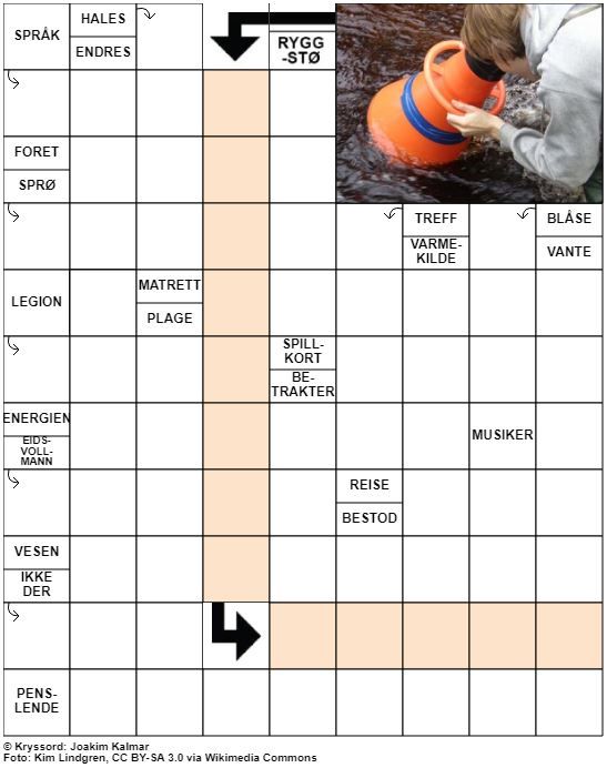 Dagens kryssord – 28. Januar - 2022