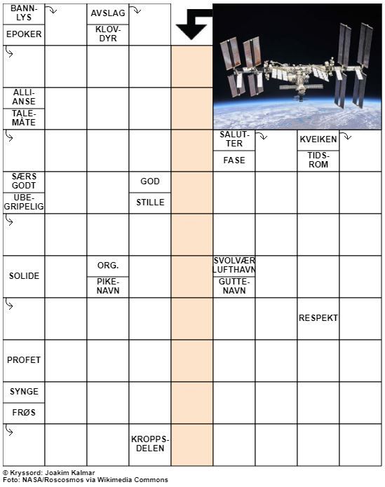 Dagens kryssord – 29. Januar - 2022