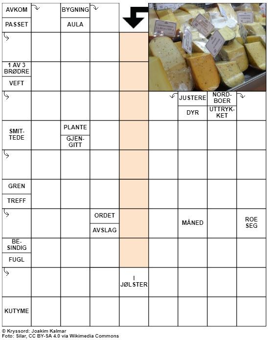 Dagens kryssord – 1. Mars - 2022