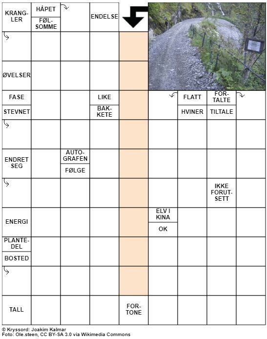 Dagens kryssord – 2. Februar - 2022