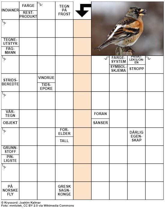 Dagens kryssord – 4. Februar - 2022