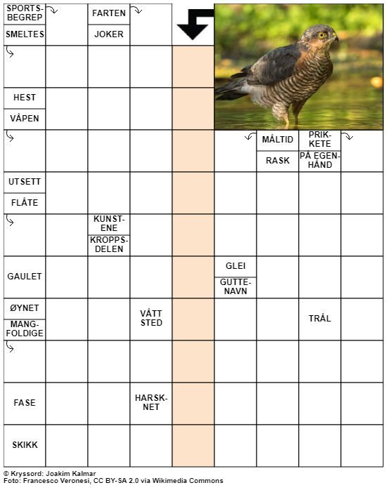Dagens kryssord – 6. Februar - 2022