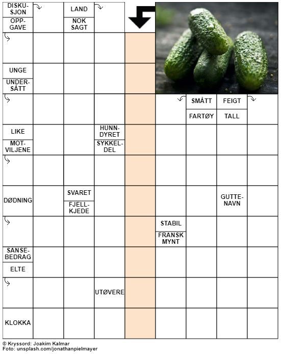 Dagens kryssord – 7. Februar - 2022