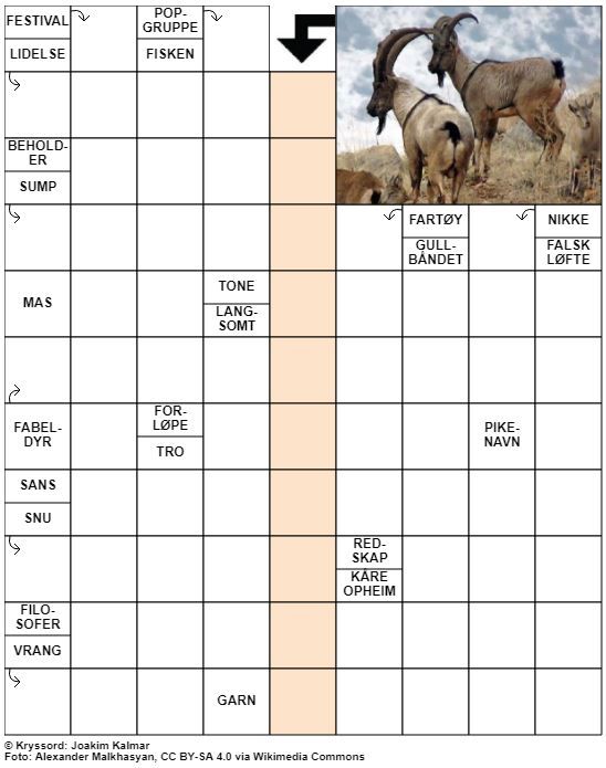 Dagens kryssord – 9. Februar - 2022