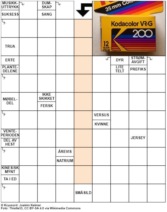 Dagens kryssord – 18. Februar - 2022