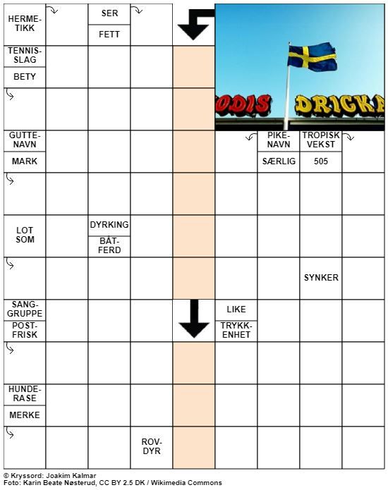Dagens kryssord – 22. Februar - 2022