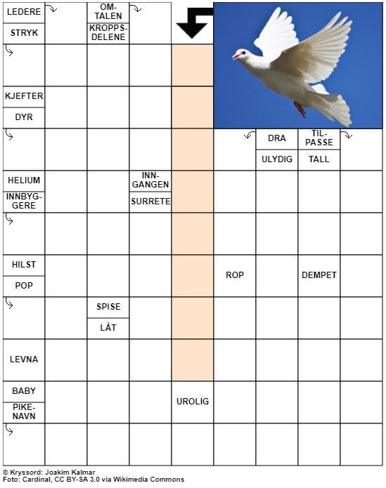 Dagens kryssord – 28. Februar - 2022