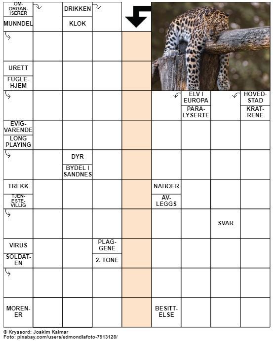 Dagens kryssord – 1. April- 2022