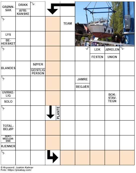 Dagens kryssord – 7. Mars - 2022