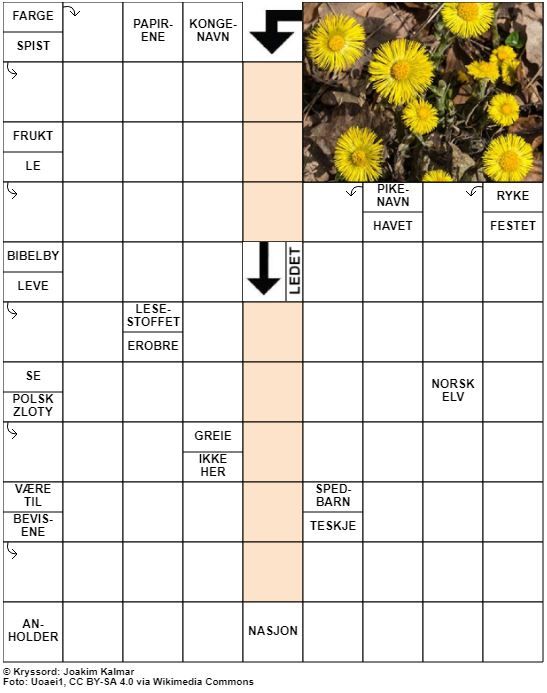 Dagens kryssord – 9. Mars - 2022
