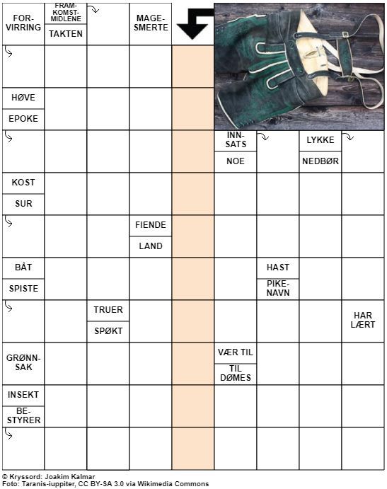 Dagens kryssord – 13. Mars - 2022