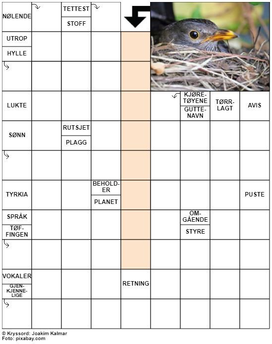 Dagens kryssord – 19. Mars - 2022