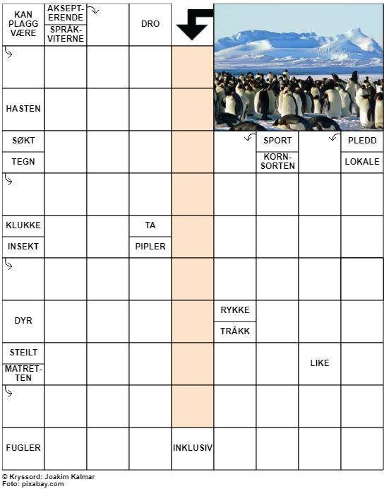 Dagens kryssord – 20. Mars - 2022