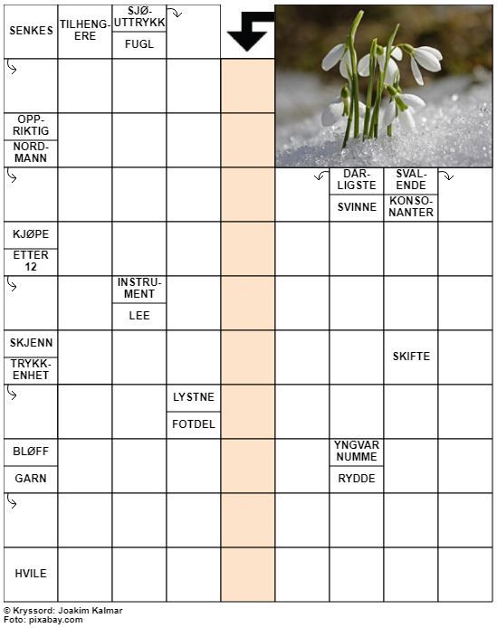 Dagens kryssord – 23. Mars - 2022