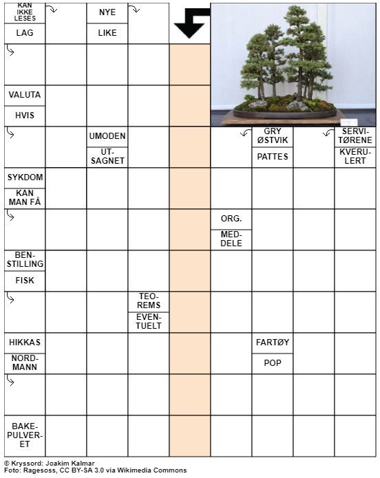 Dagens kryssord – 24. Mars - 2022