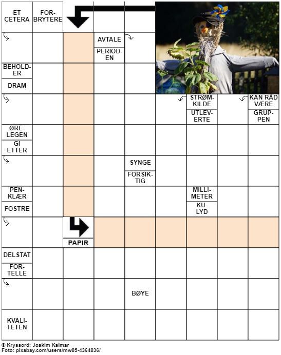 Dagens kryssord – 25. Mars - 2022