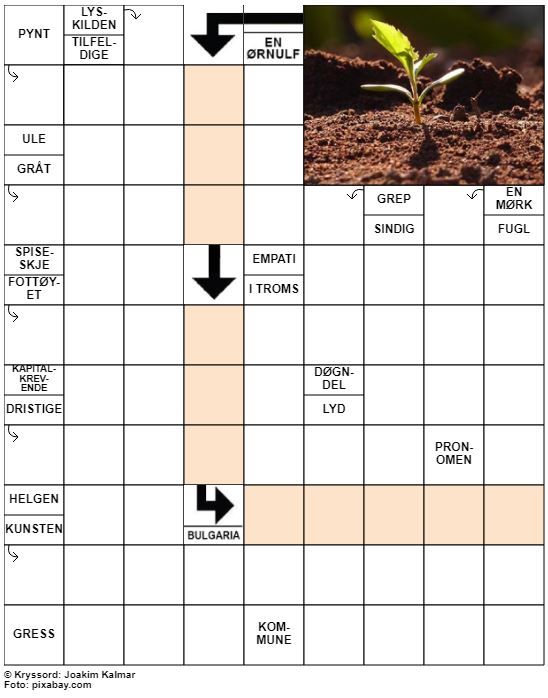 Dagens kryssord – 26. Mars - 2022