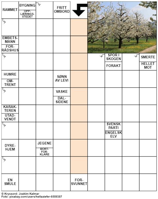 Dagens kryssord – 29. Mars - 2022