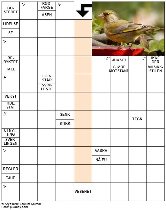 Dagens kryssord – 1. Mai - 2022