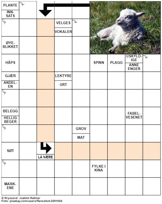 Dagens kryssord – 7. April- 2022