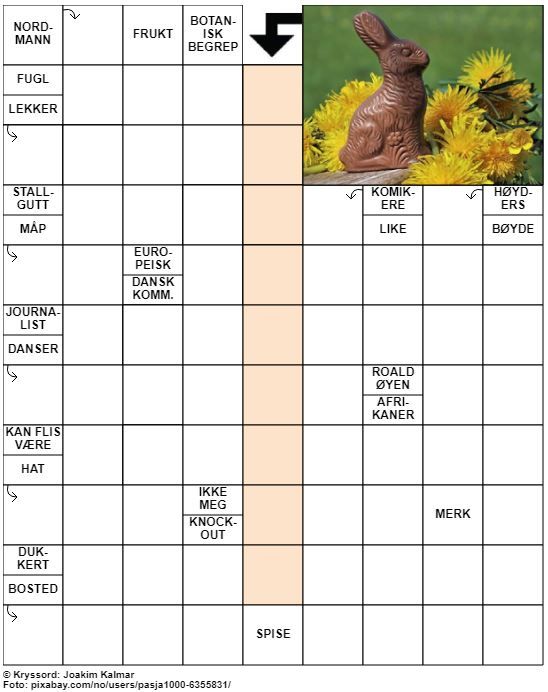 Dagens kryssord – 8. April- 2022