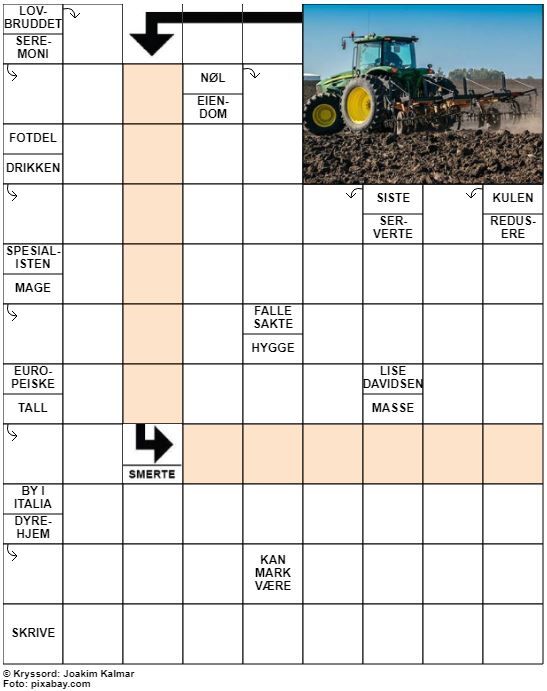 Dagens kryssord – 22. April- 2022