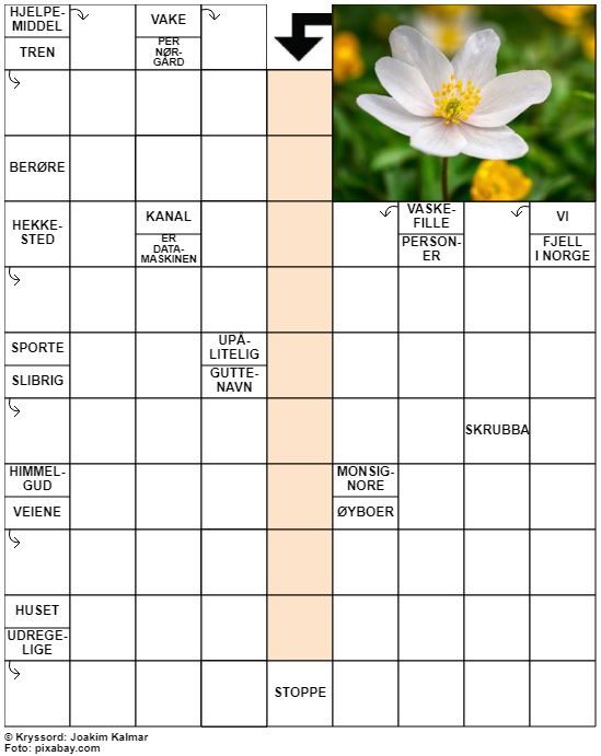 Dagens kryssord – 23. April- 2022