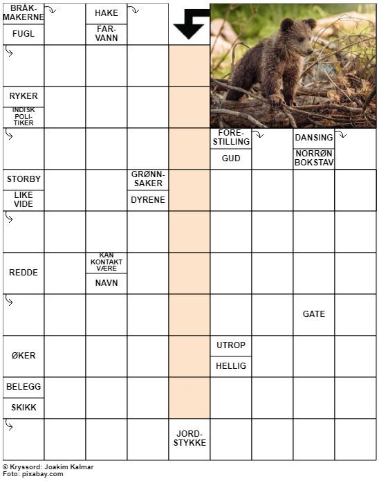 Dagens kryssord – 25. April- 2022