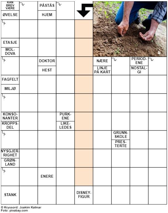 Dagens kryssord – 26. April- 2022