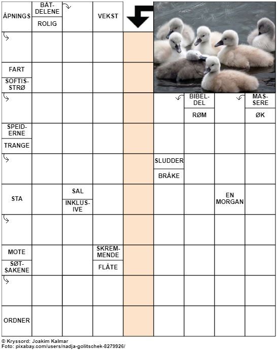 Dagens kryssord – 5. Mai - 2022