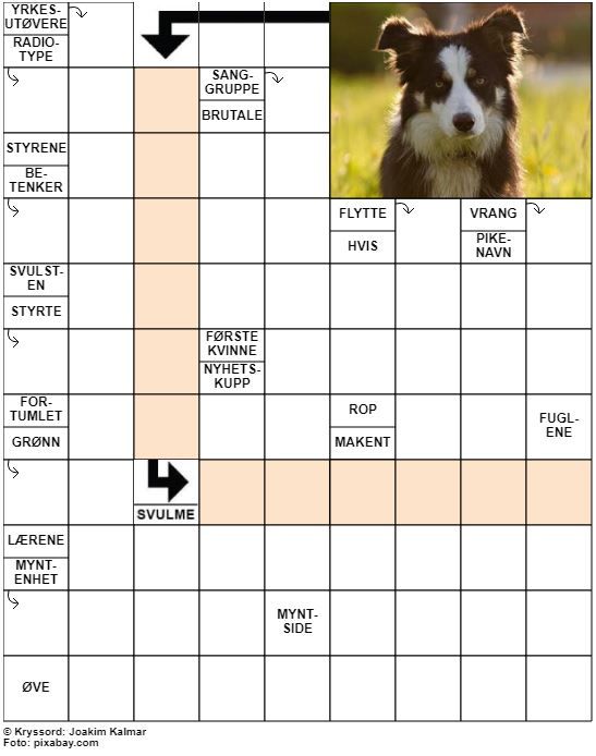 Dagens kryssord – 7. Mai - 2022