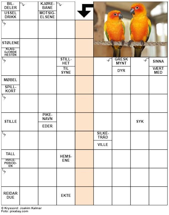 Dagens kryssord – 15. Mai - 2022