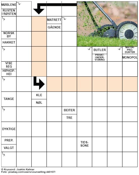 Dagens kryssord – 18. Mai - 2022