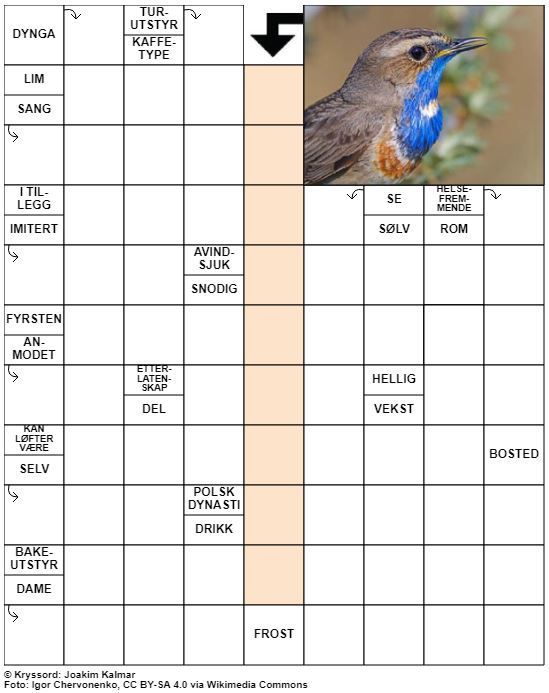 Dagens kryssord – 20. Mai - 2022