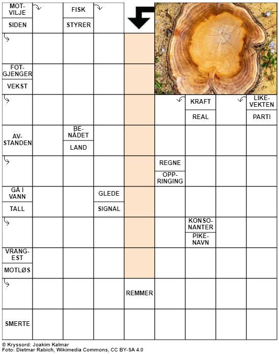 Dagens kryssord – 23. Mai - 2022