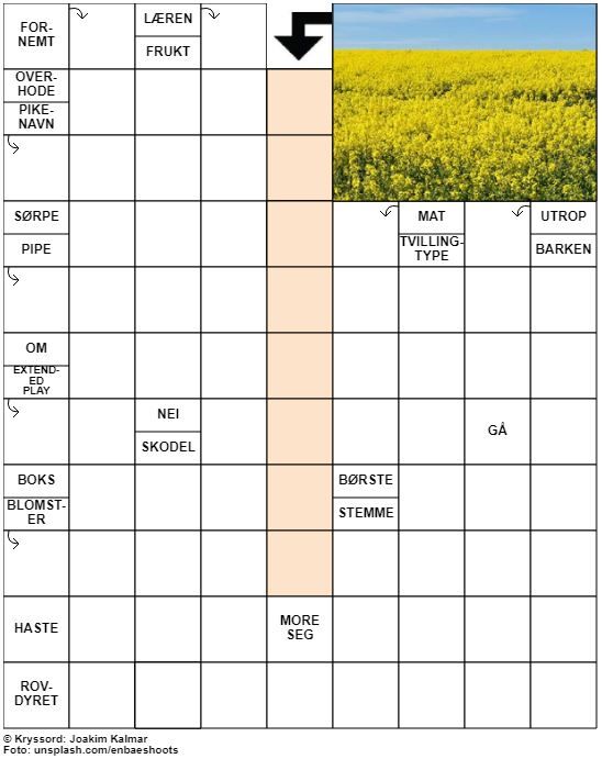 Dagens kryssord – 27. Mai - 2022