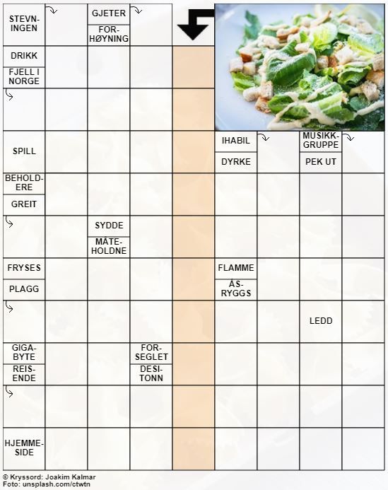 Dagens kryssord – 29. Mai - 2022