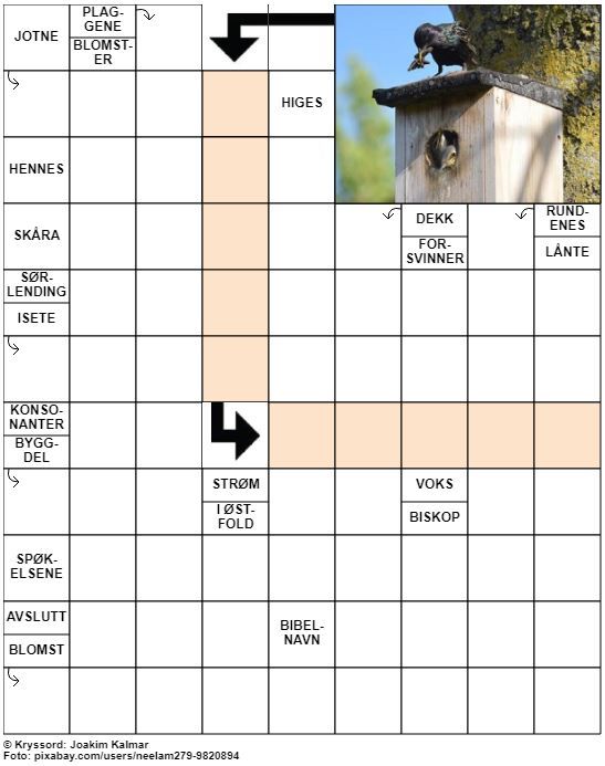 Dagens kryssord – 31. Mai - 2022