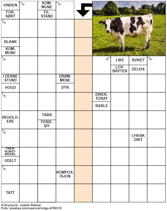Dagens kryssord – 3. Juni - 2022