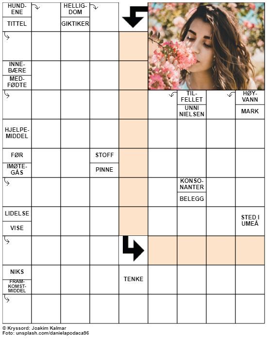 Dagens kryssord – 6. Juni - 2022