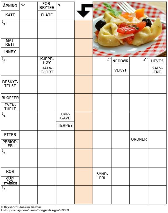 Dagens kryssord – 7. Juni - 2022