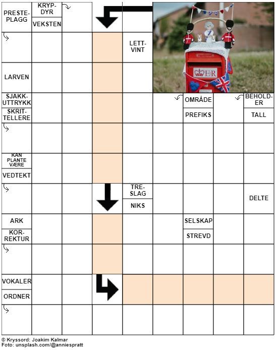 Dagens kryssord – 11. Juni - 2022