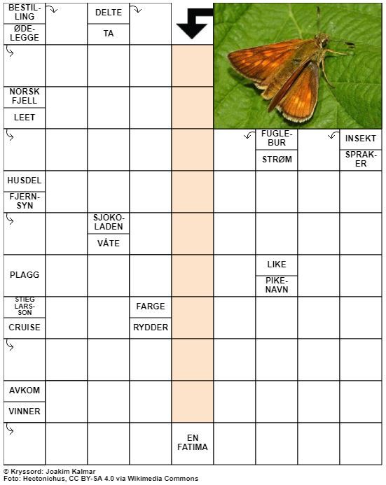 Dagens kryssord – 13. Juni - 2022