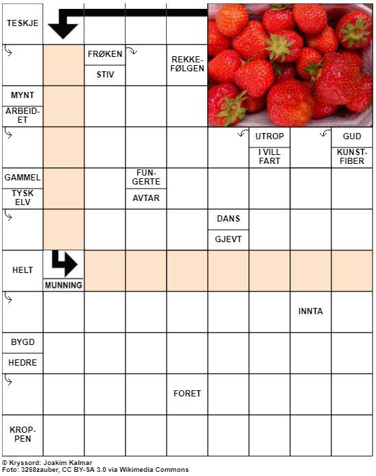 Dagens kryssord – 4. Juli - 2022
