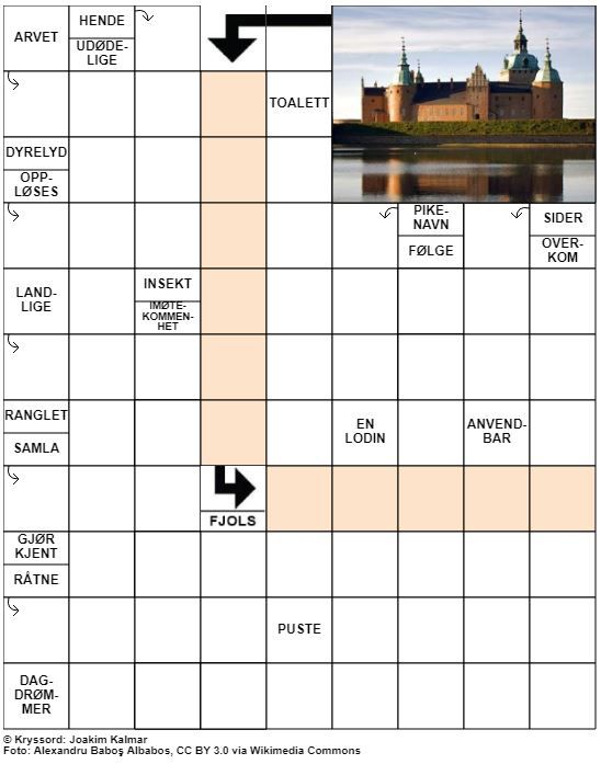 Dagens kryssord – 9. Juli - 2022