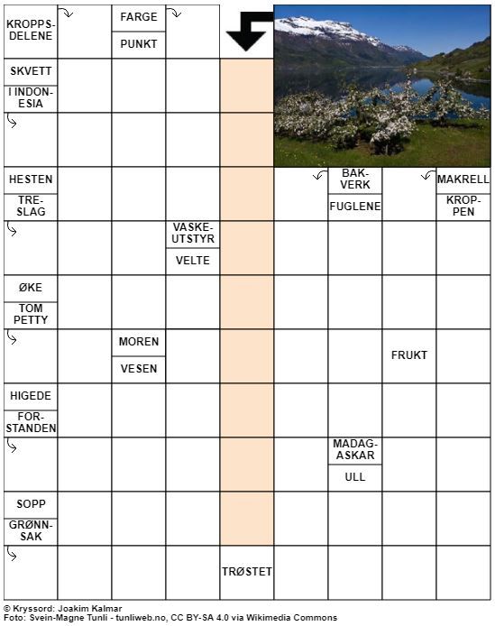 Dagens kryssord – 11. Juli - 2022